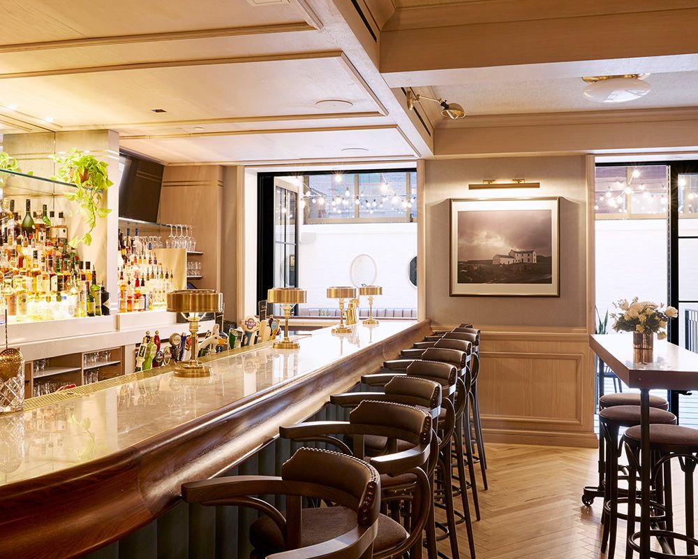 Merrion Row Hotel, the public house