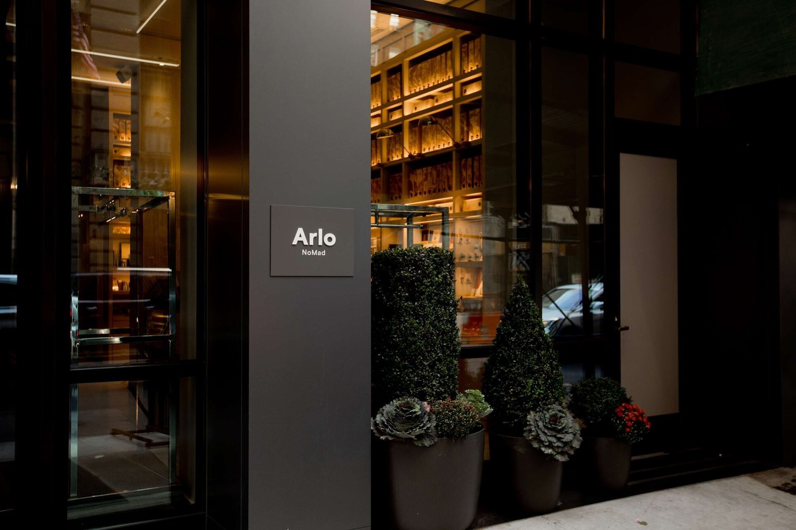 Arlo NoMad — backstory