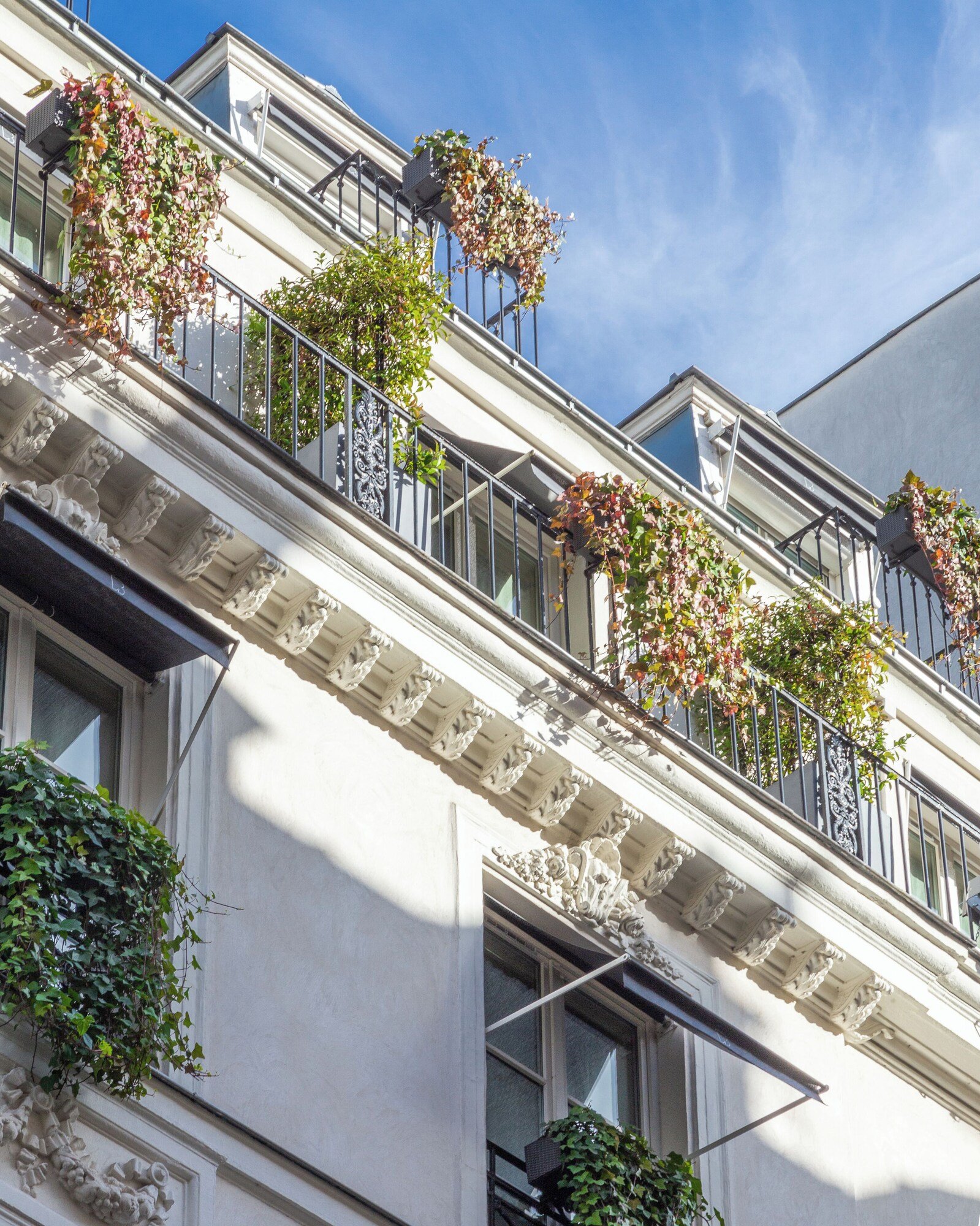 Le Burgundy Paris — backstory