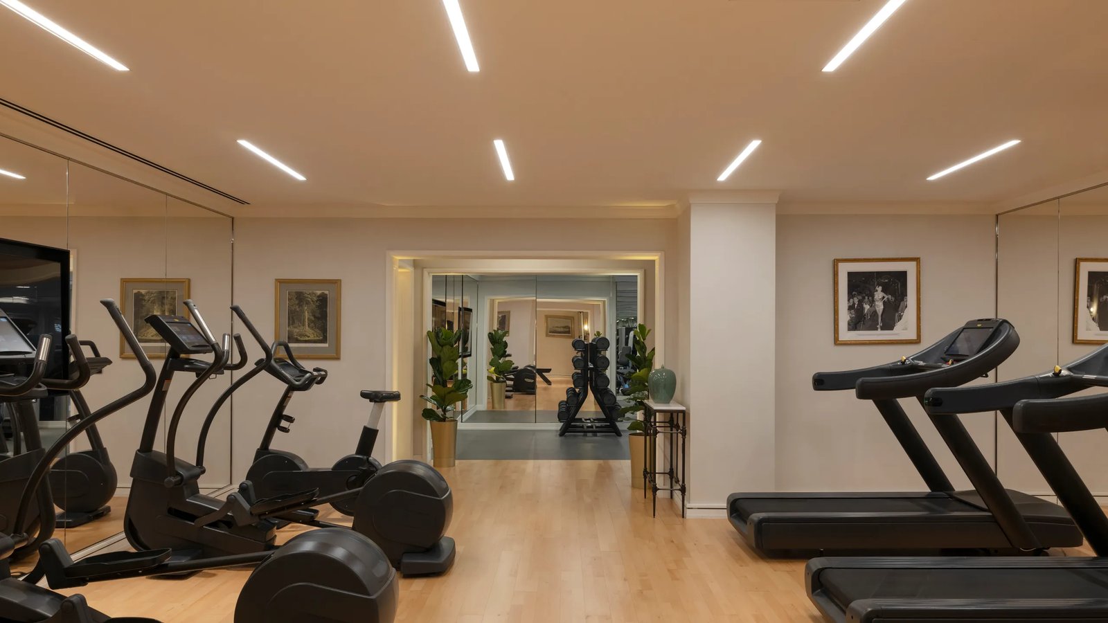 Raffles Singapore — wellness
