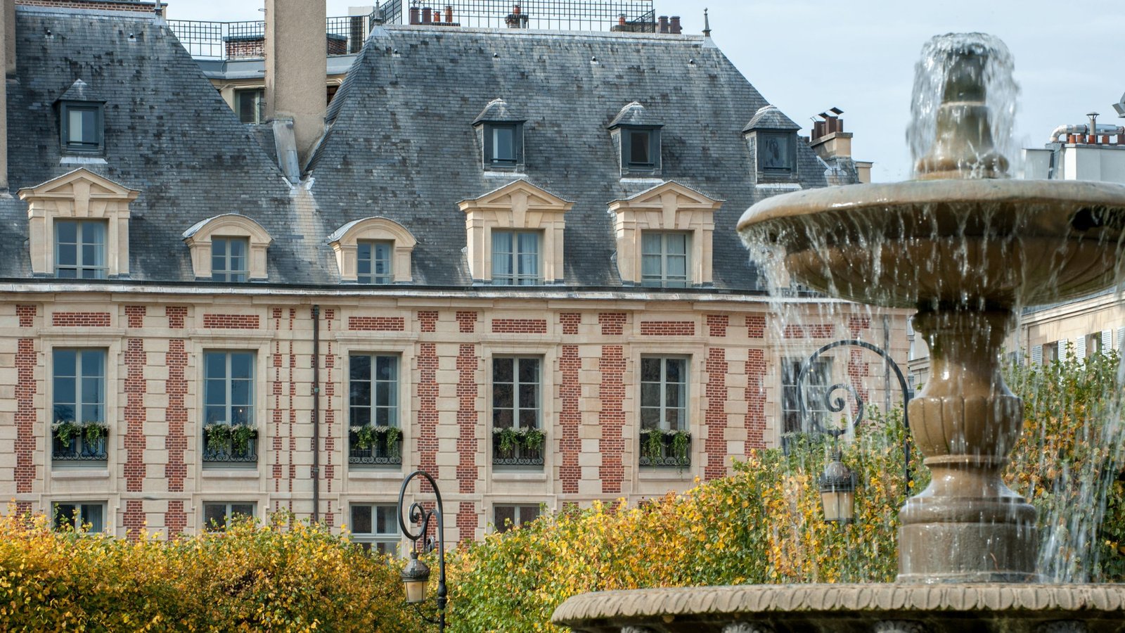 Cour des Vosges — backstory