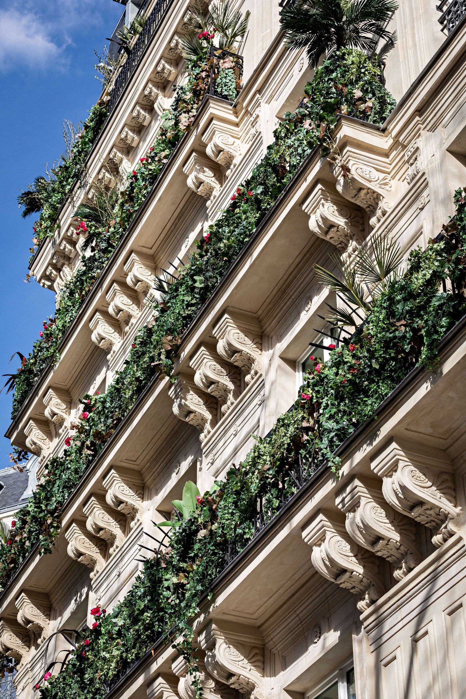 Hotel Florida Paris — backstory