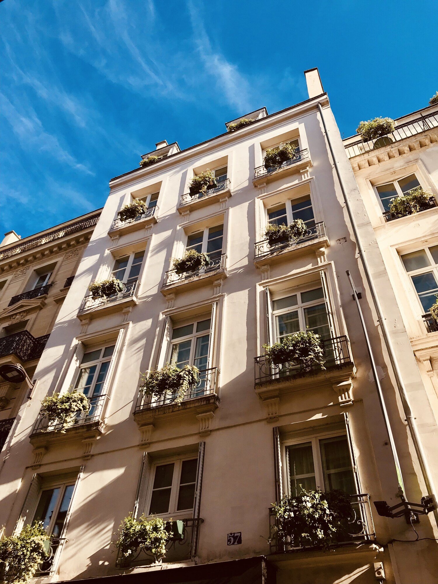 Hôtel Pas de Calais — backstory