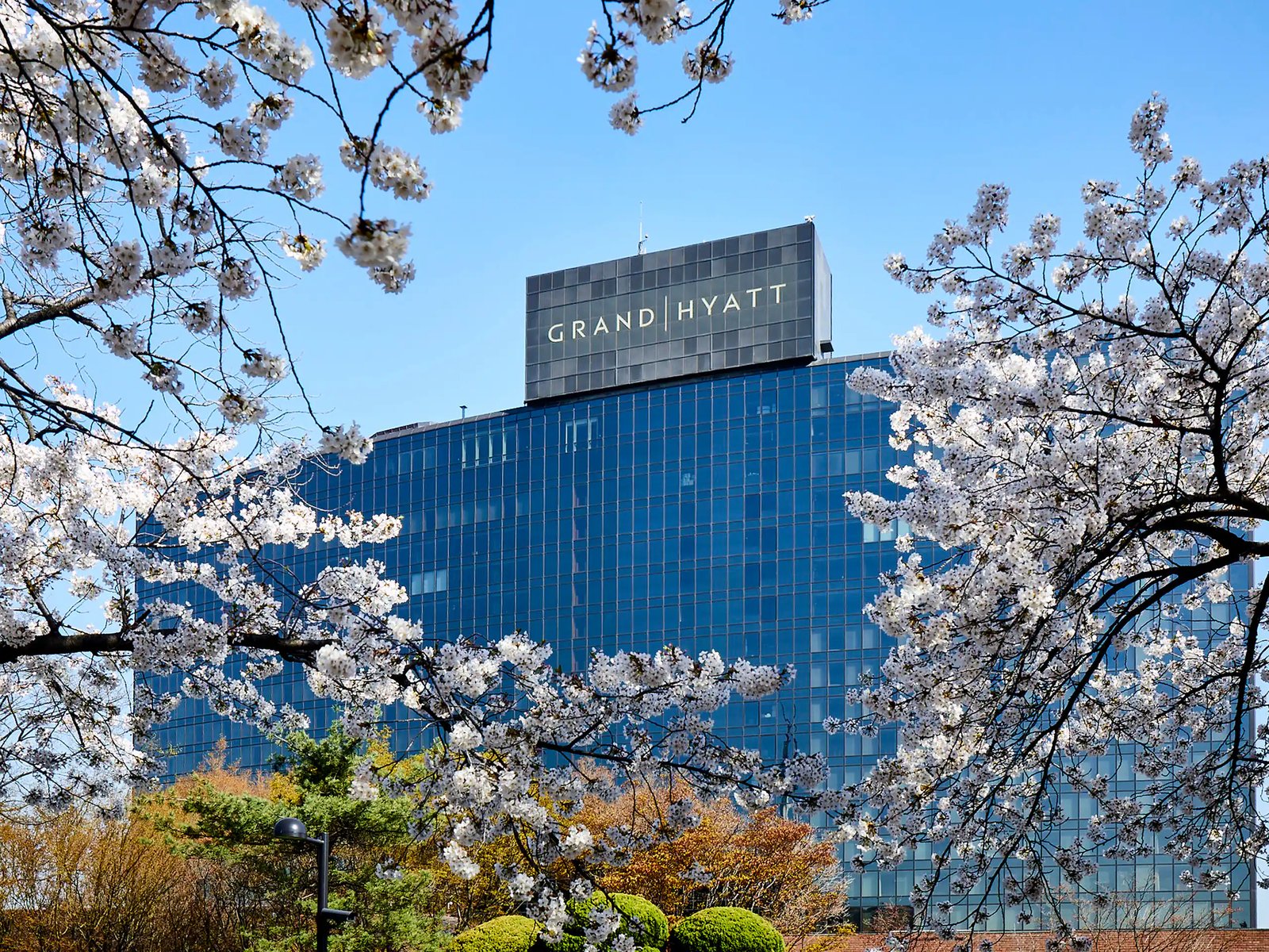 Grand Hyatt Seoul — backstory