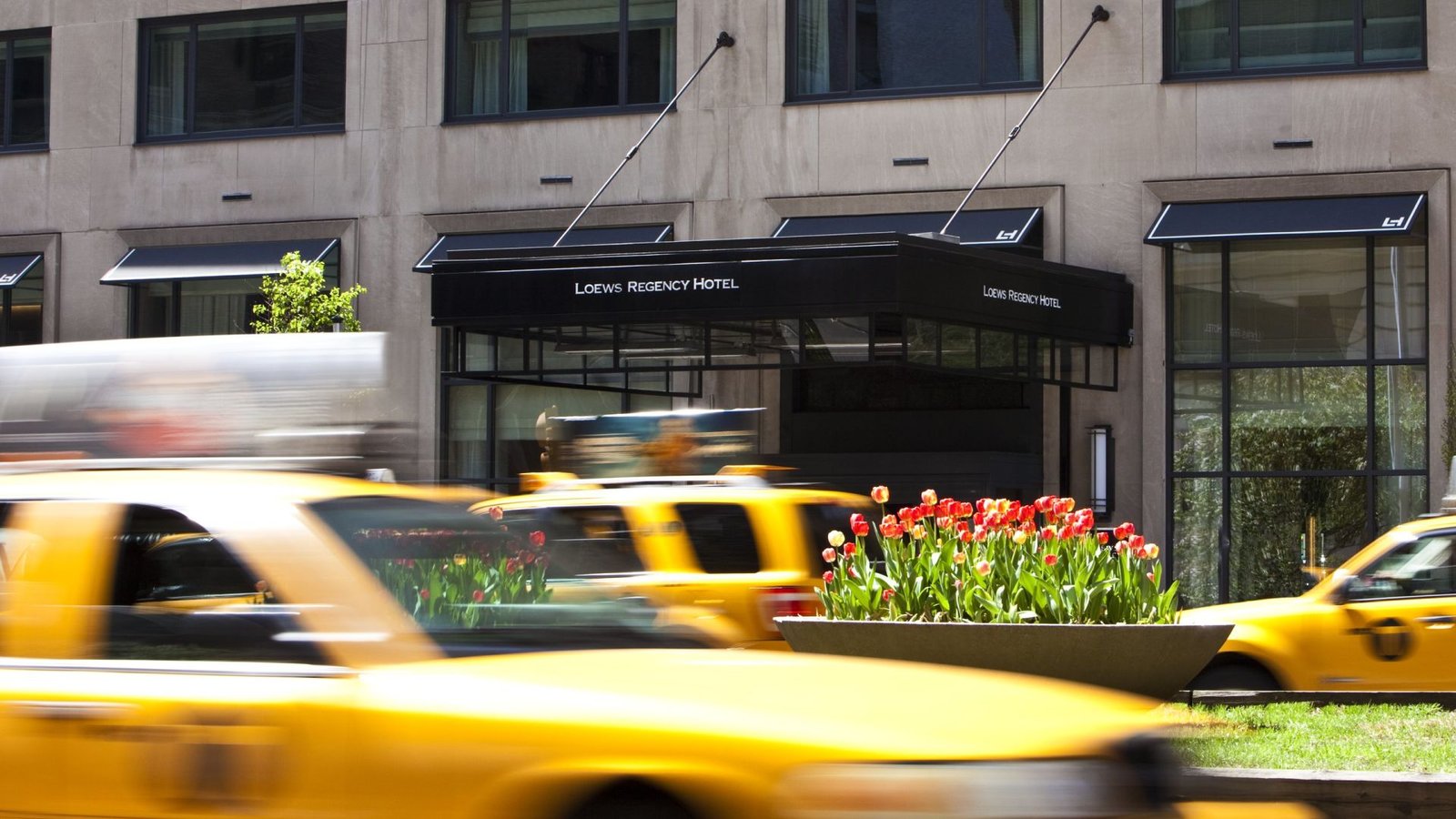 Loews Regency New York Hotel