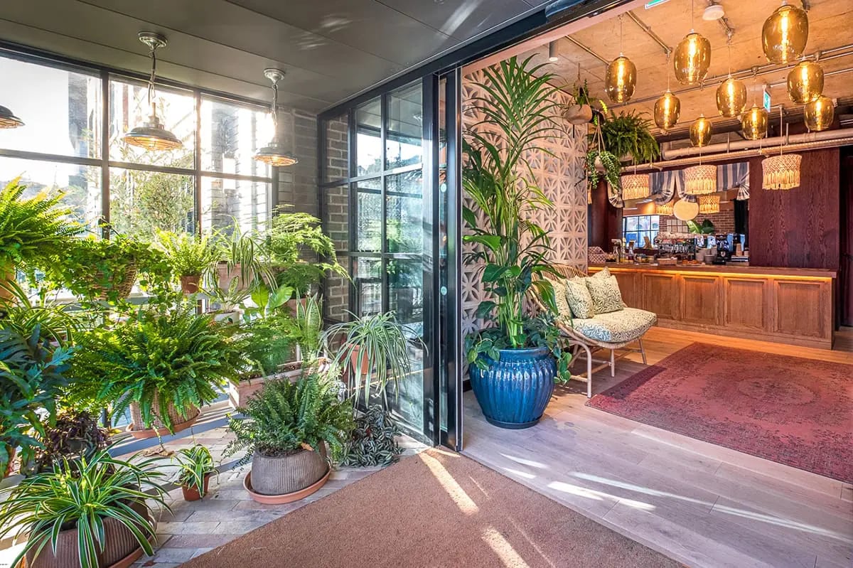 Second Nature Chiswick — eat & drink