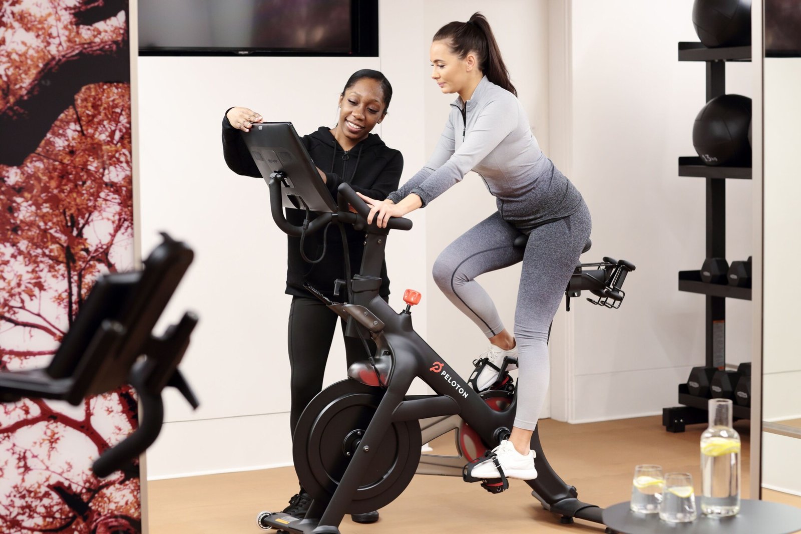 The Athenaeum Hotel & Residences, the gym