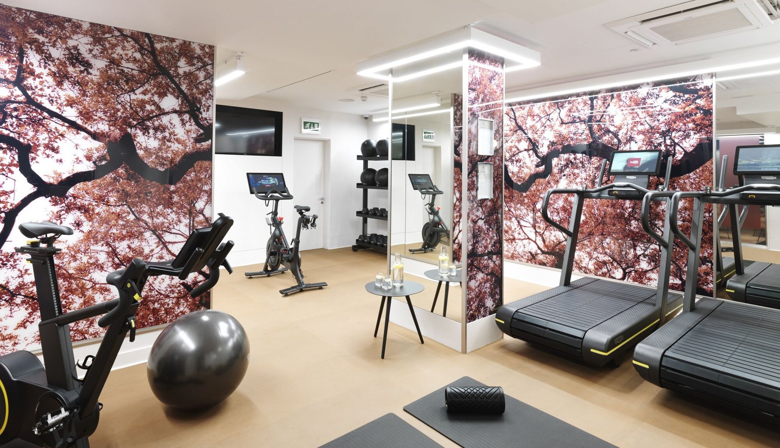 The Athenaeum Hotel & Residences, the gym