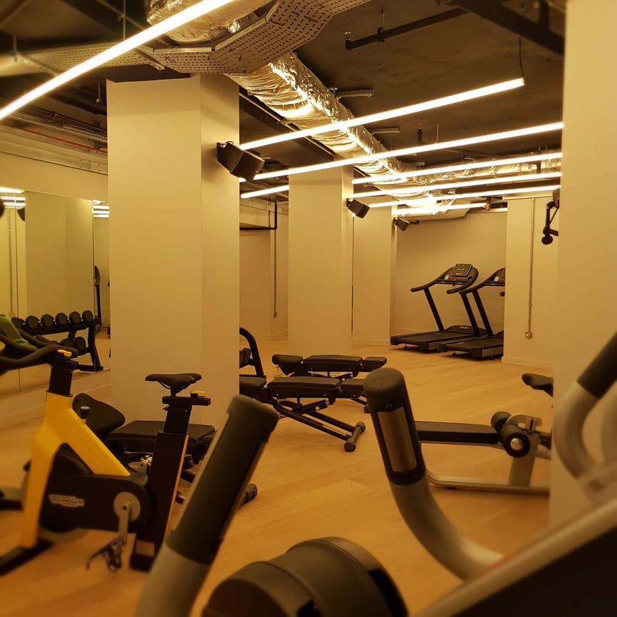 Zedwell Piccadilly Circus, the gym
