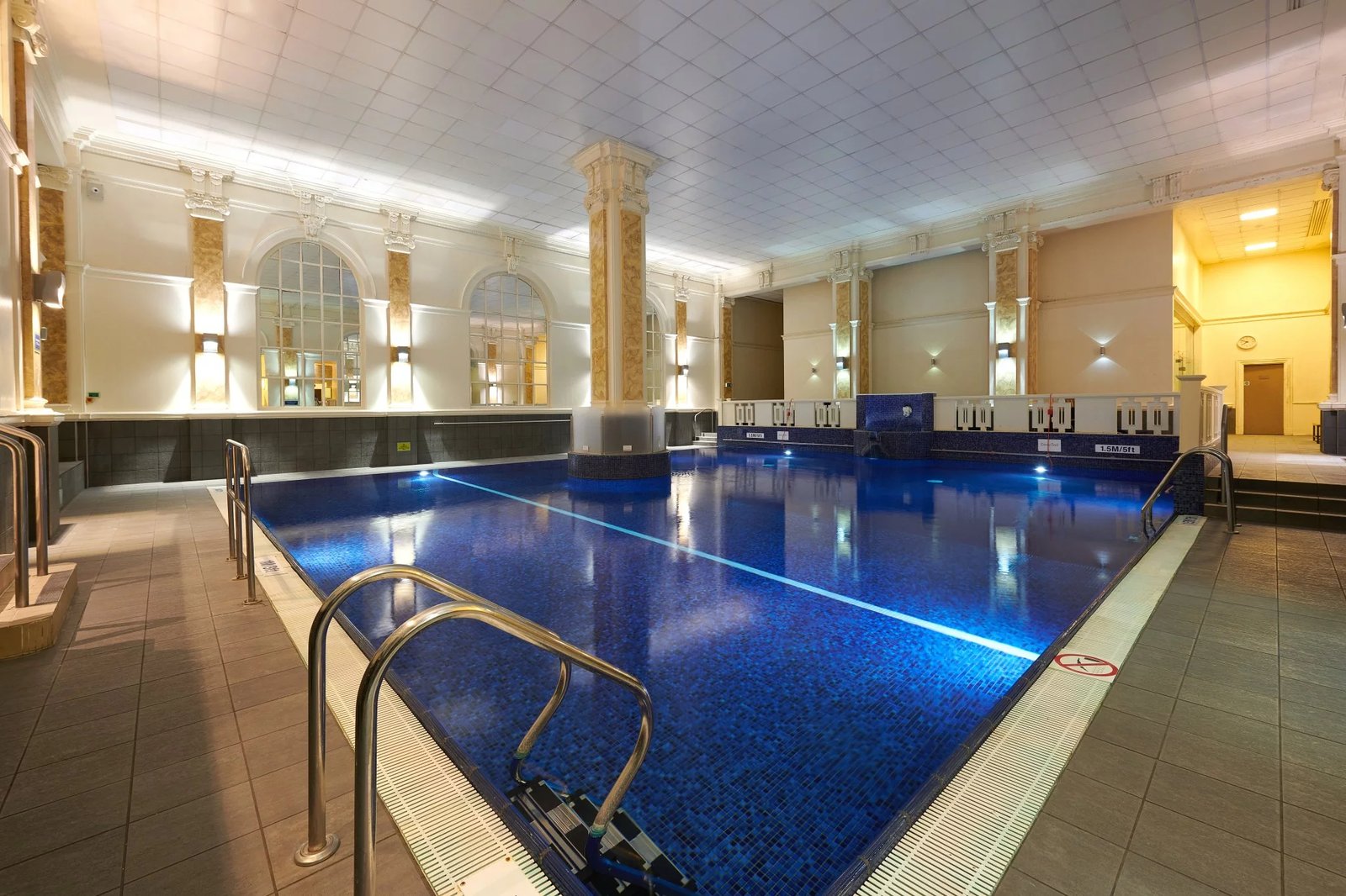 The Dilly — wellness
