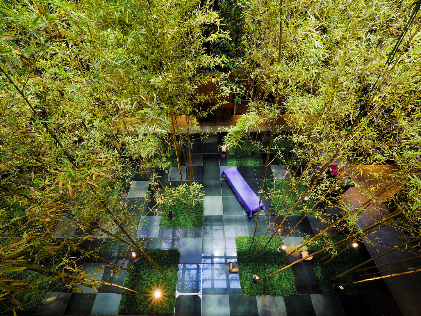 Dhawa Yura Kyoto — backstory