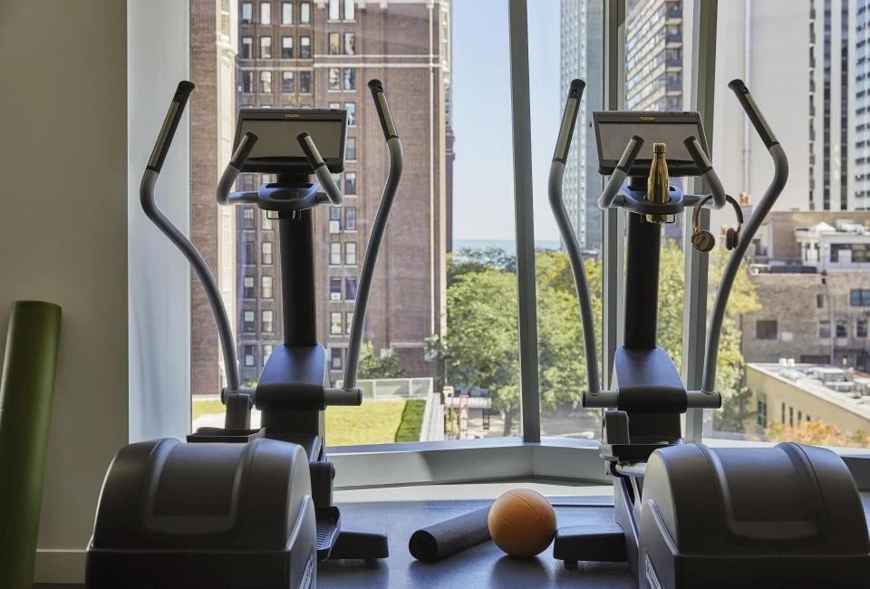 Viceroy Chicago, the gym