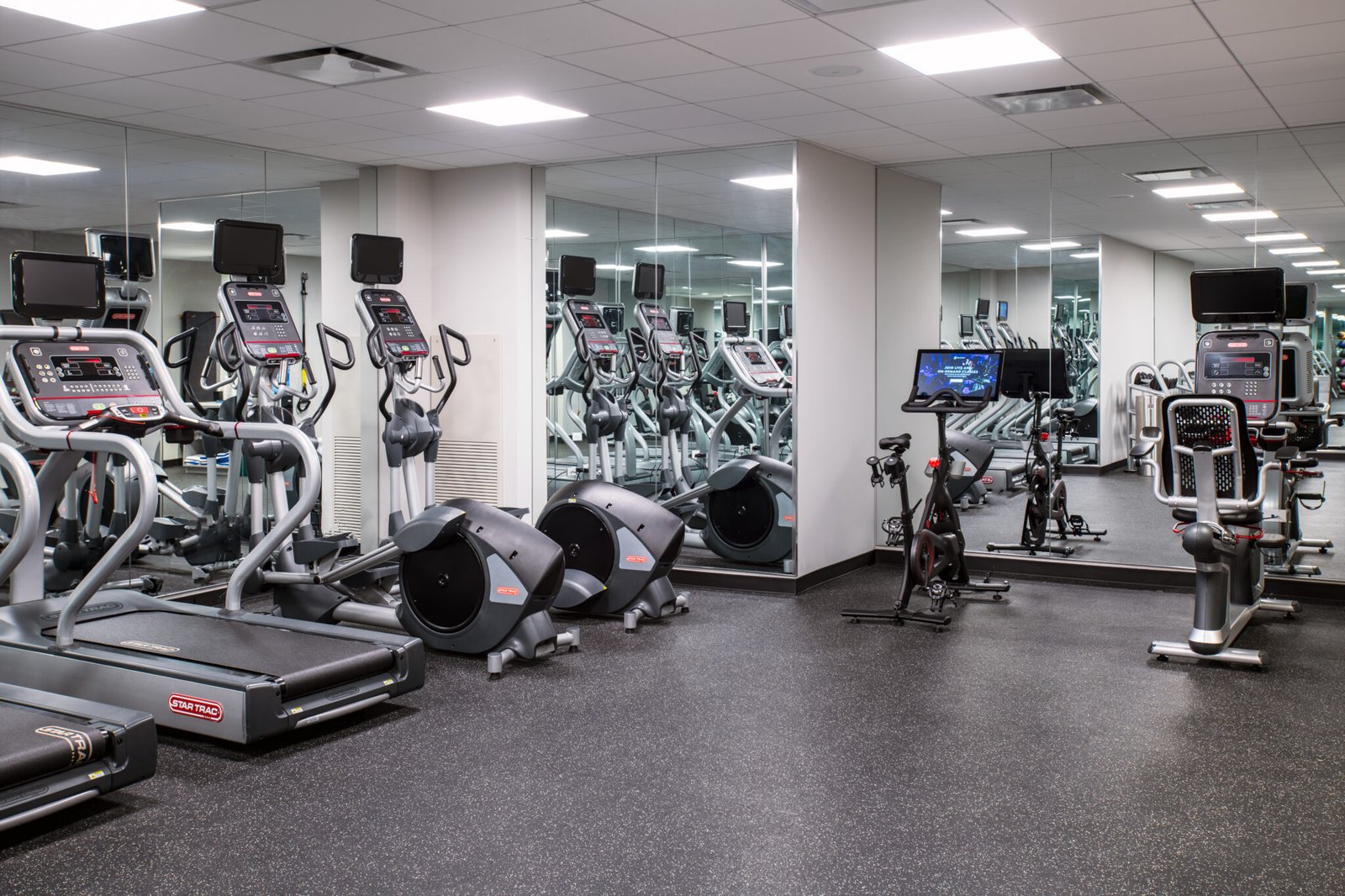 Arlo Chicago — wellness