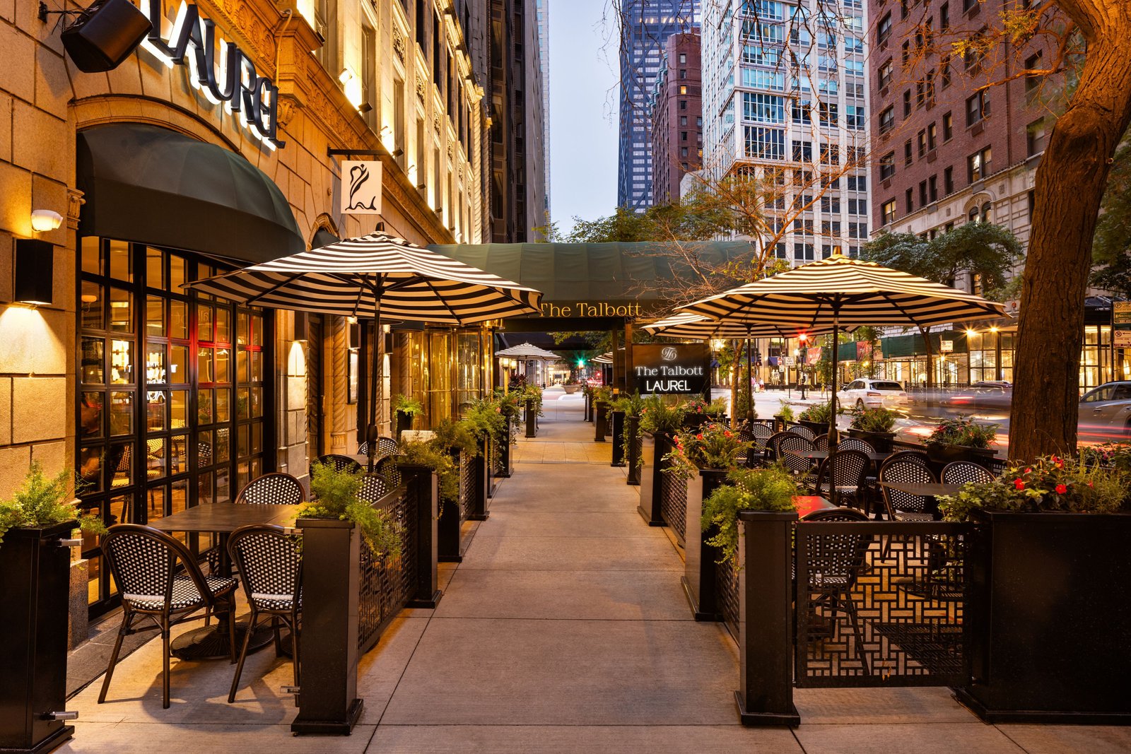 The Talbott, Autograph Collection — eat & drink