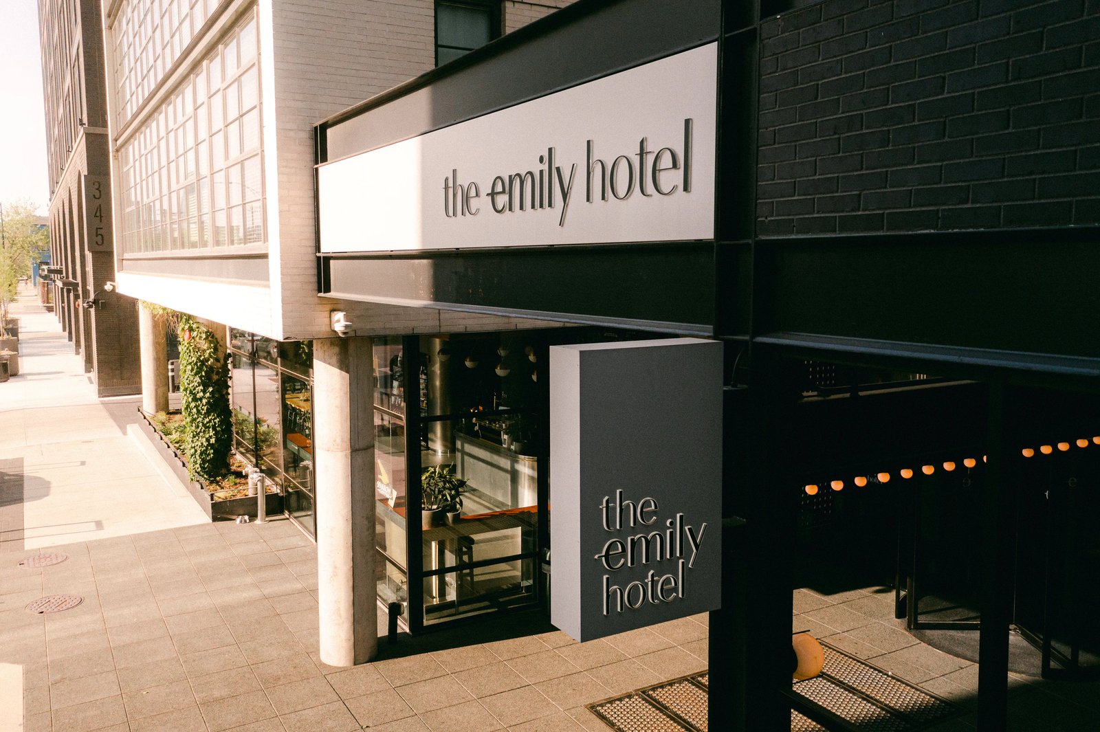The Emily Hotel — backstory