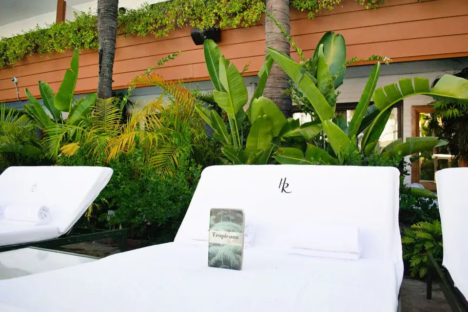 The Hollywood Roosevelt — vibe