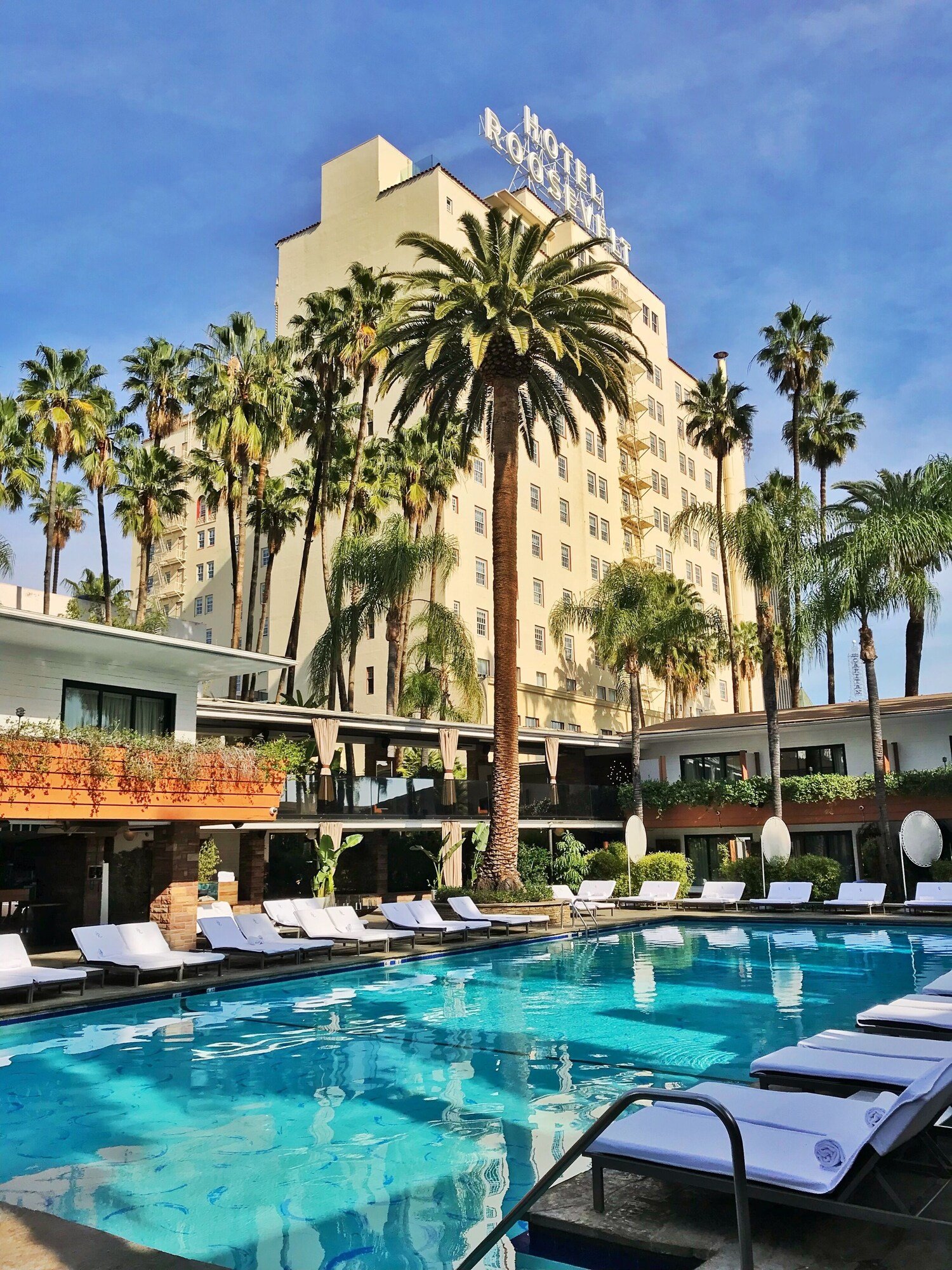 The Hollywood Roosevelt — wellness