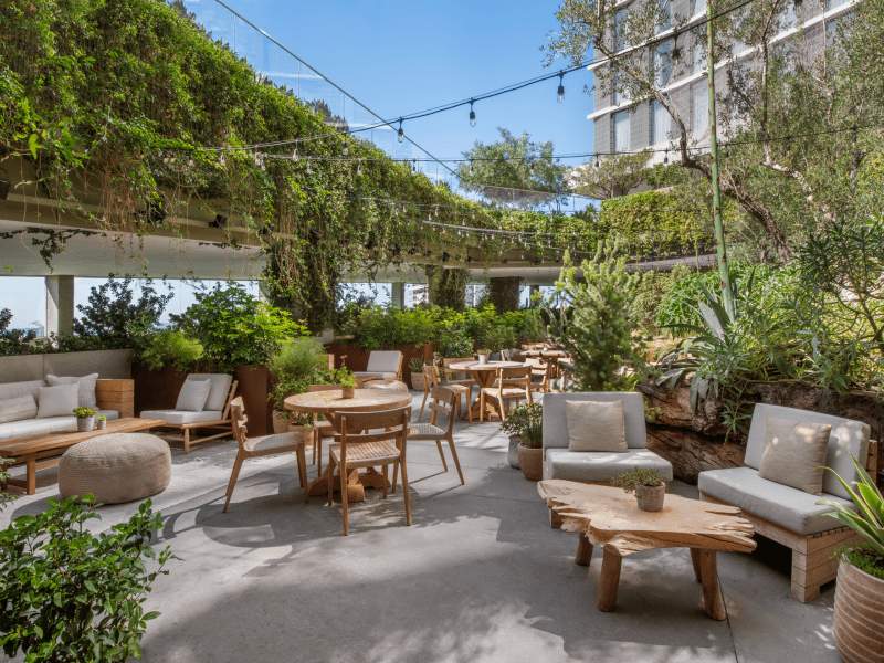 1 Hotel West Hollywood, juniper lounge & garden