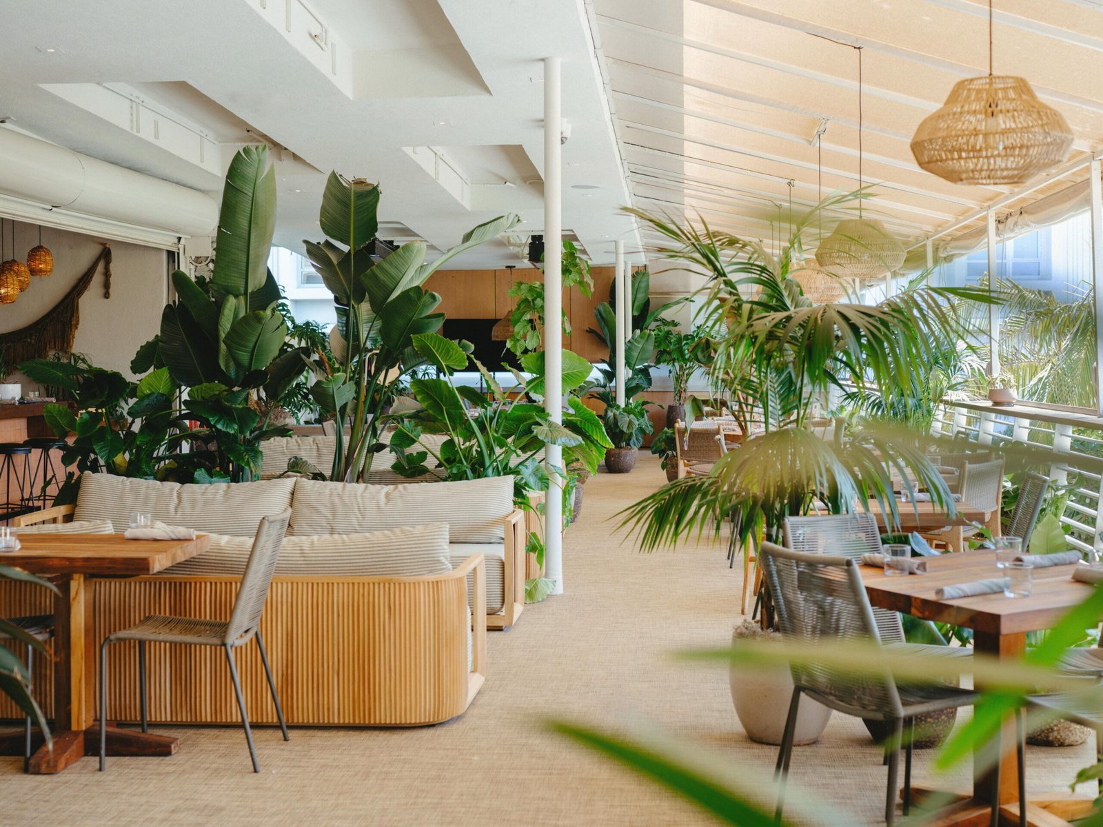 Hotel June West LA, caravan swim club