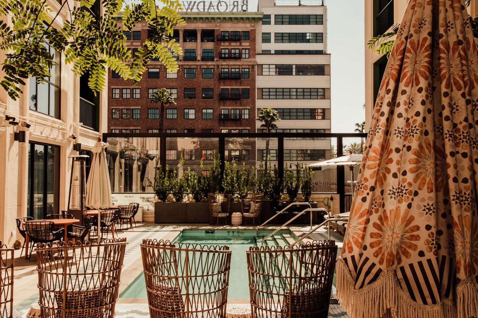 The Aster — wellness