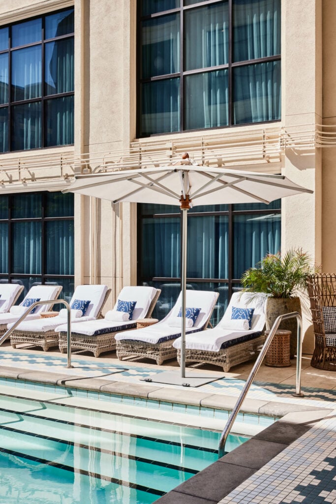 The Aster — wellness