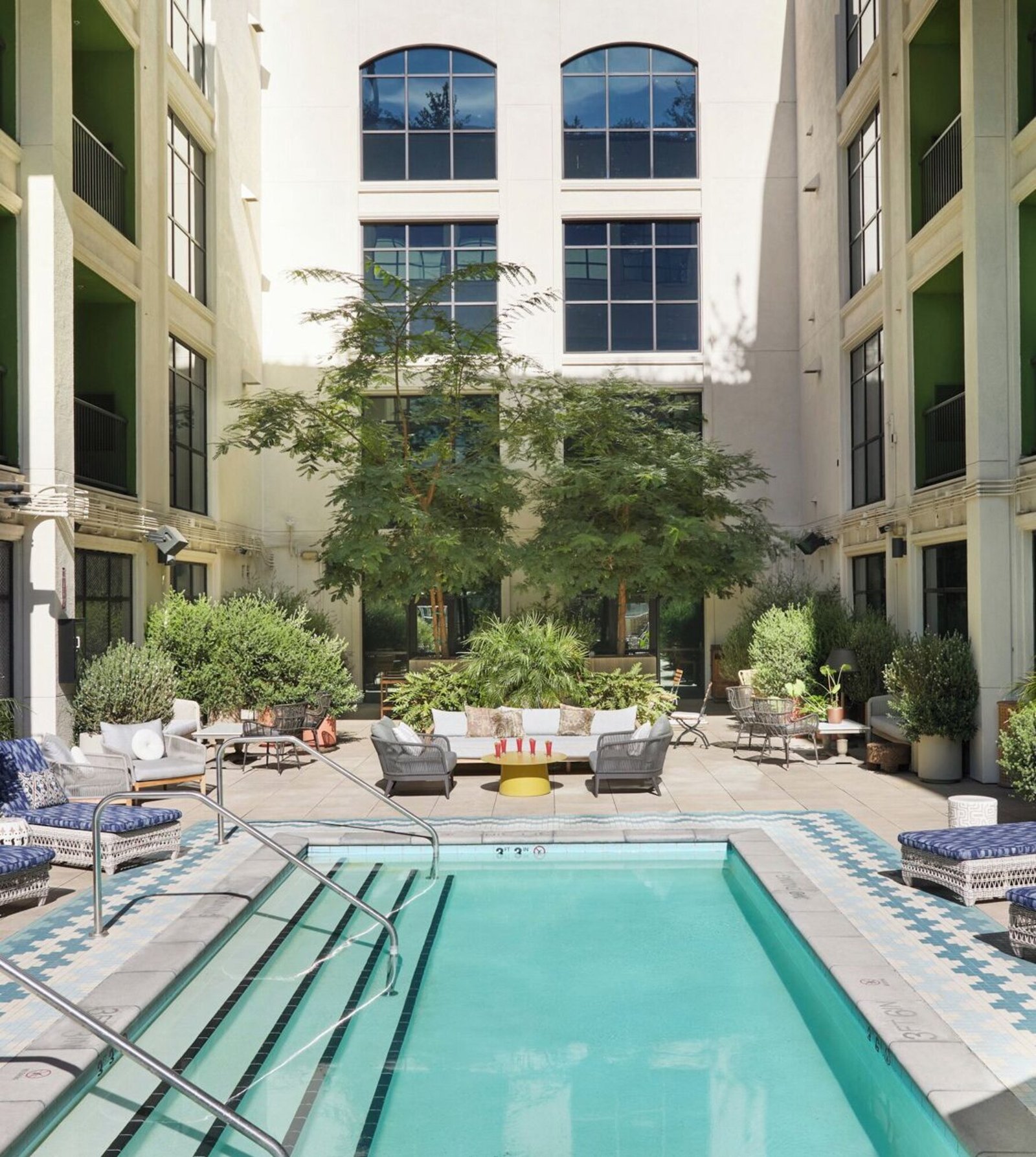 The Aster — wellness