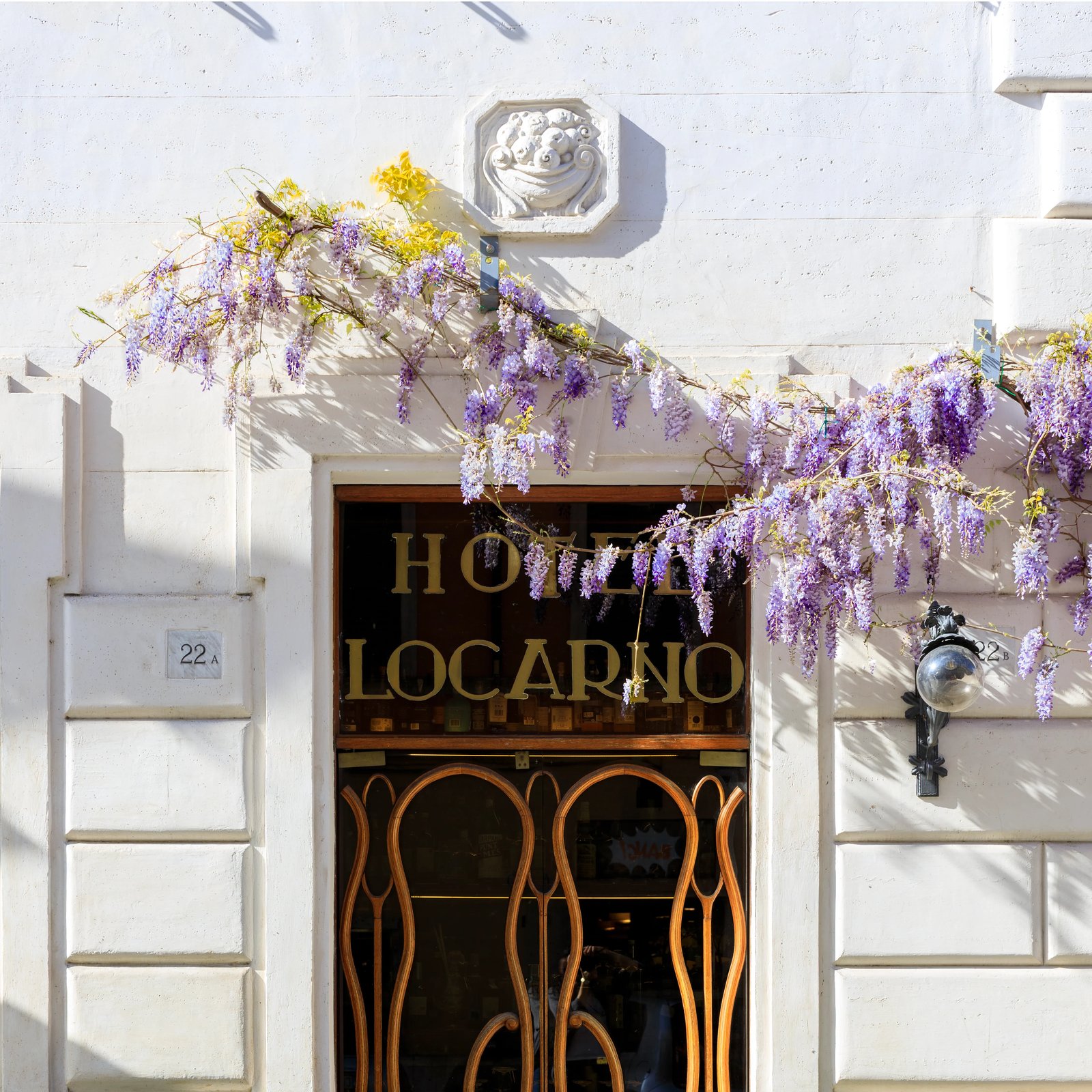 Hotel Locarno — backstory