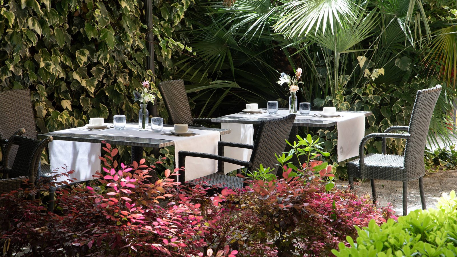 Hotel San Anselmo — vibe