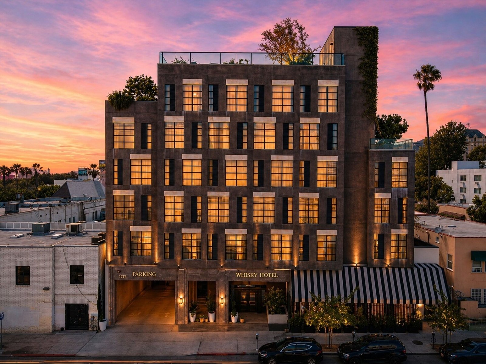 Whisky Hotel Hollywood — backstory