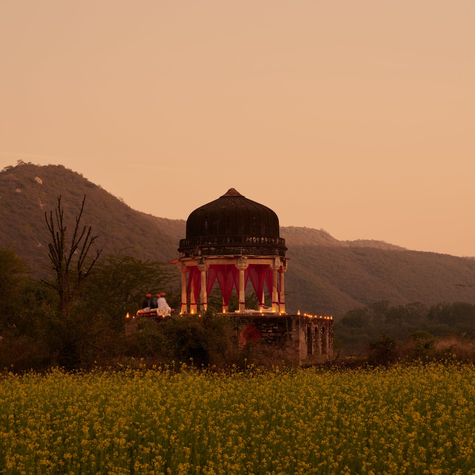 Amanbagh, at the table