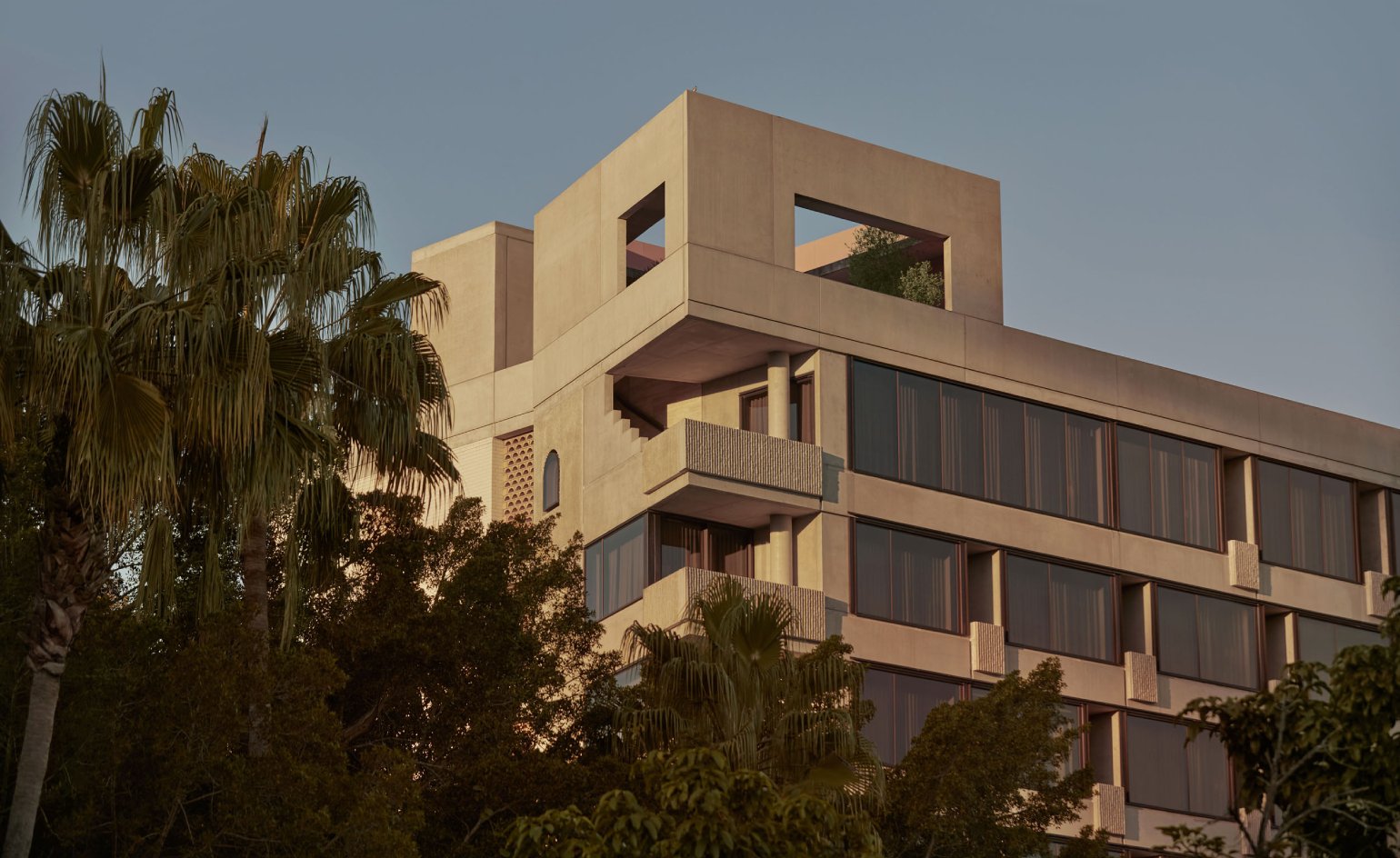 The Calile Hotel — backstory