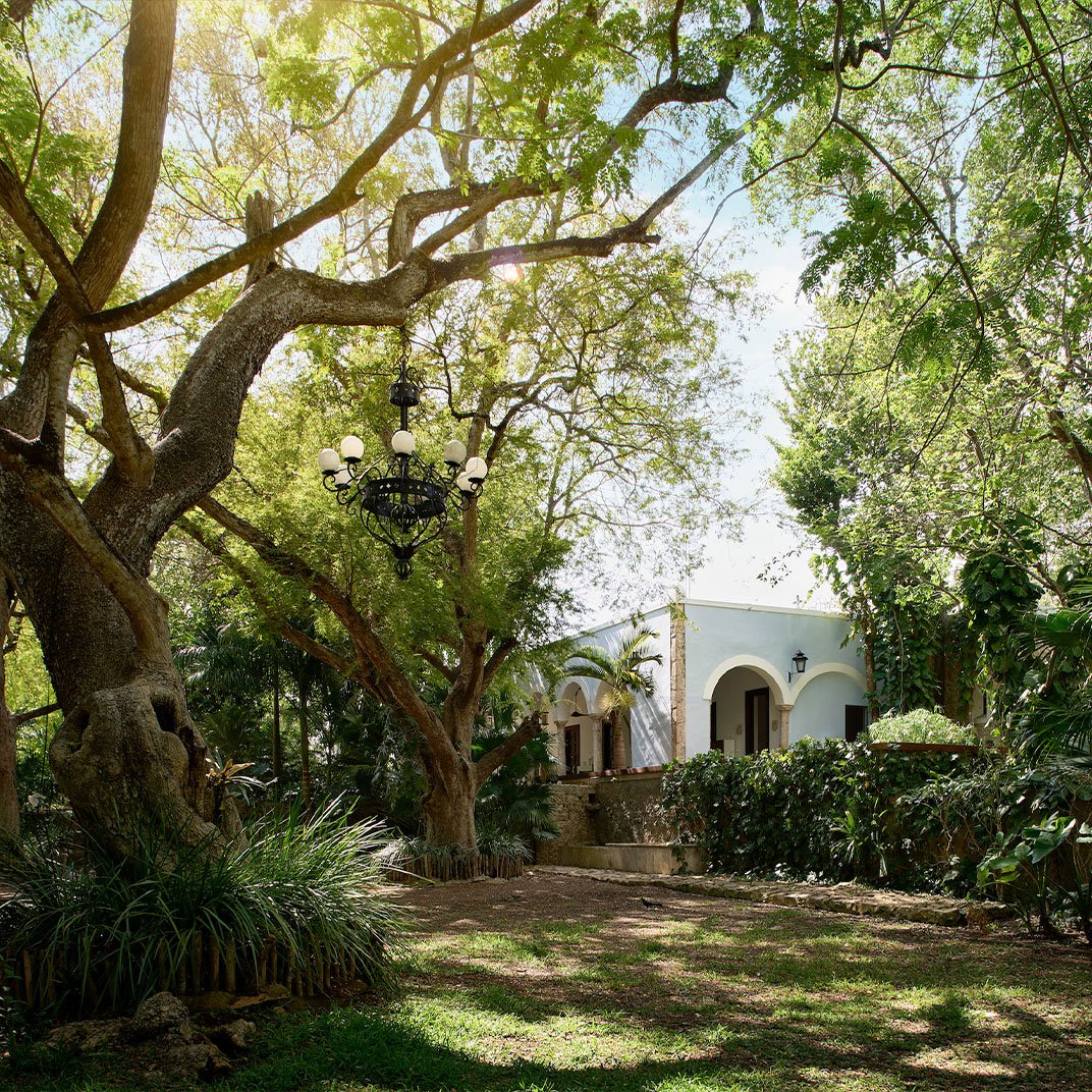 Chablé Yucatán, how it began