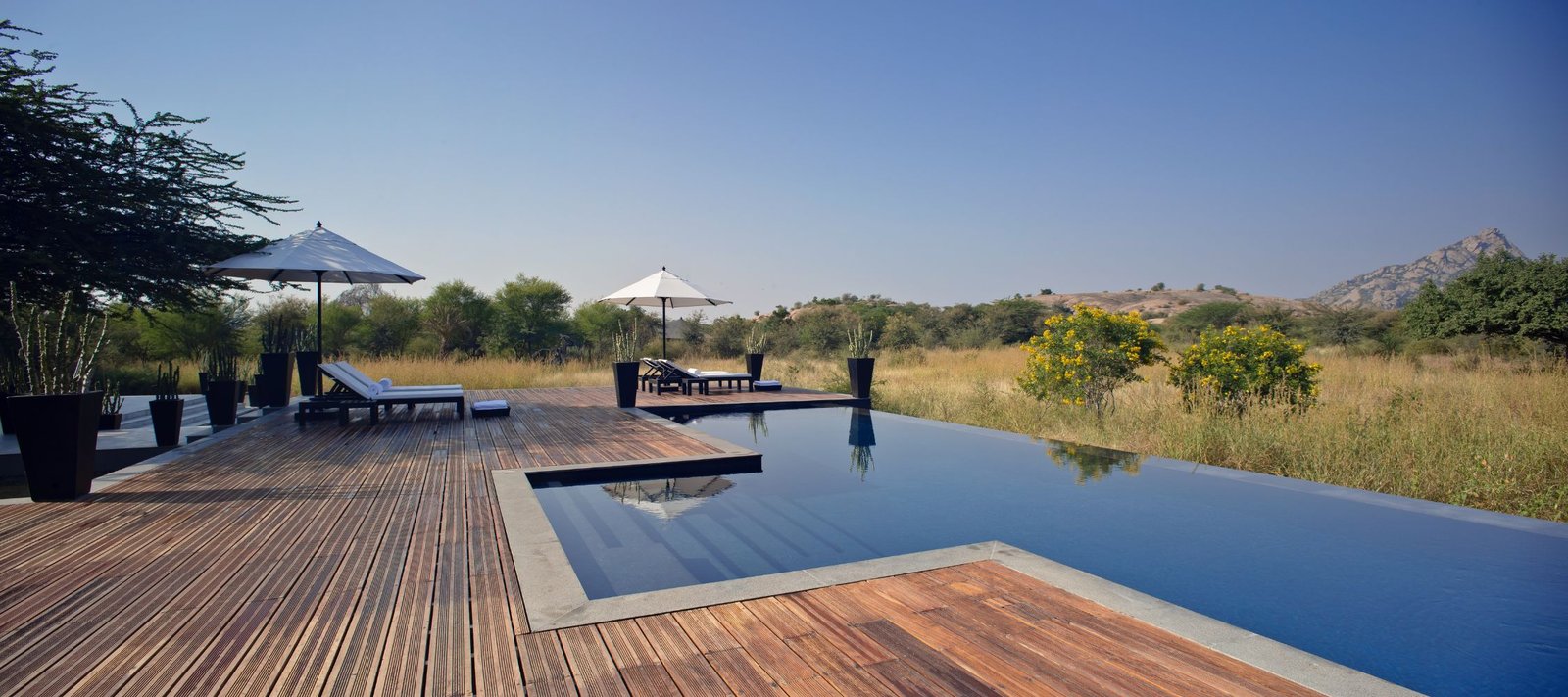 SUJÁN JAWAI Camp — wellness