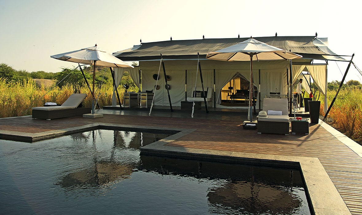 SUJÁN JAWAI Camp — wellness