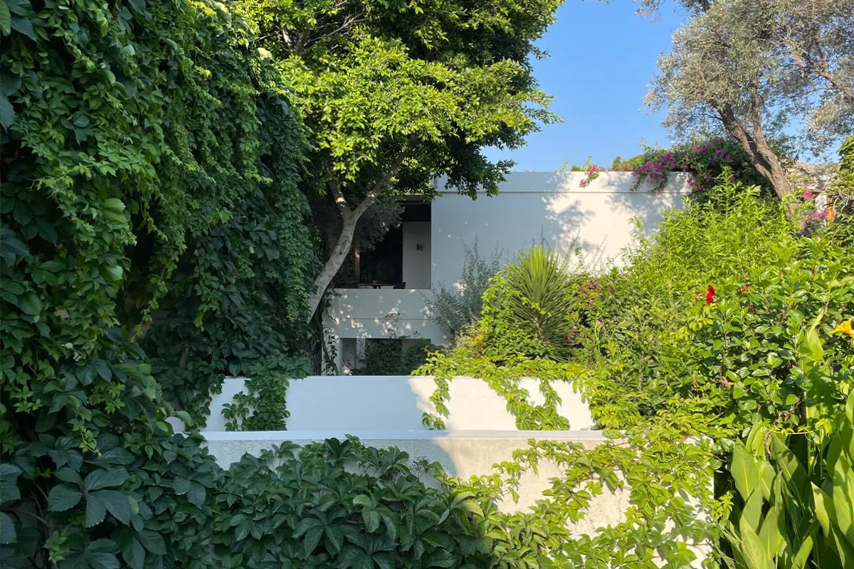MACAKIZI BODRUM — backstory