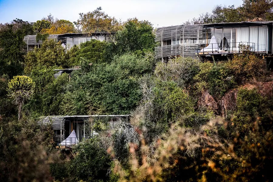Singita Lebombo — backstory