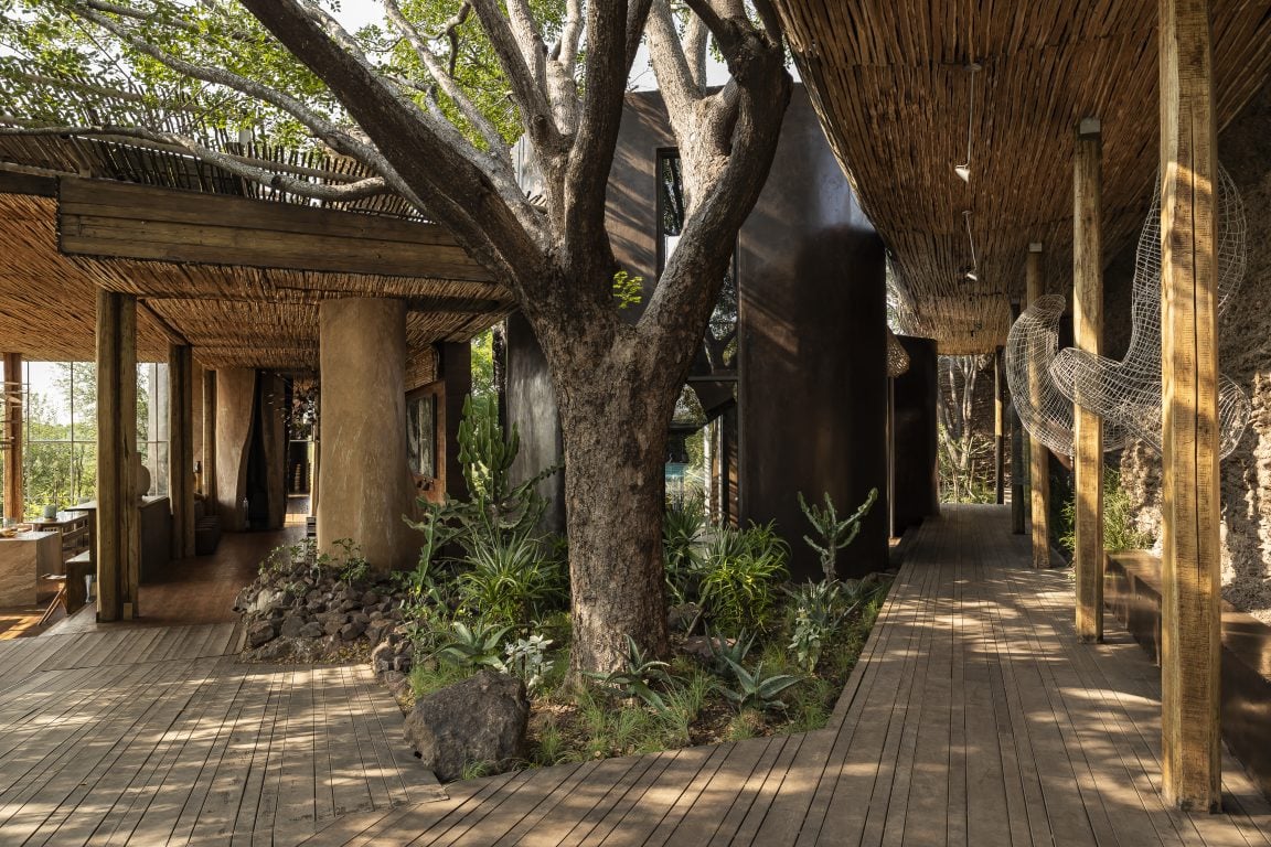 Singita Lebombo — vibe