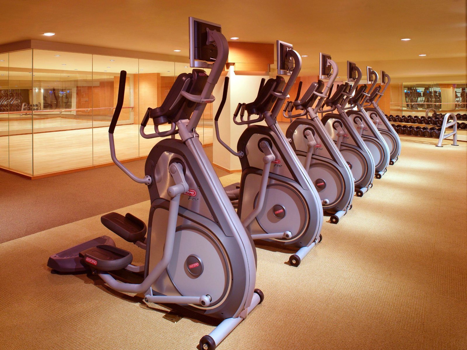 Hyatt on the Bund Hotel — wellness