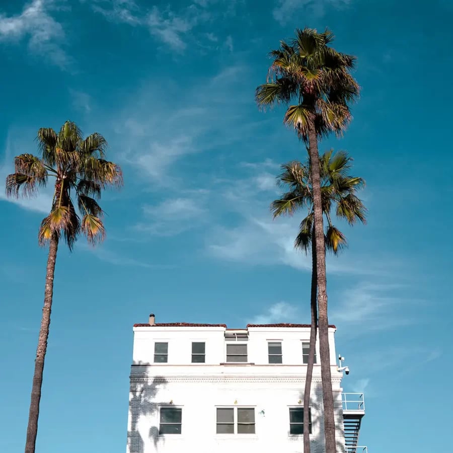 Venice V Hotel — backstory