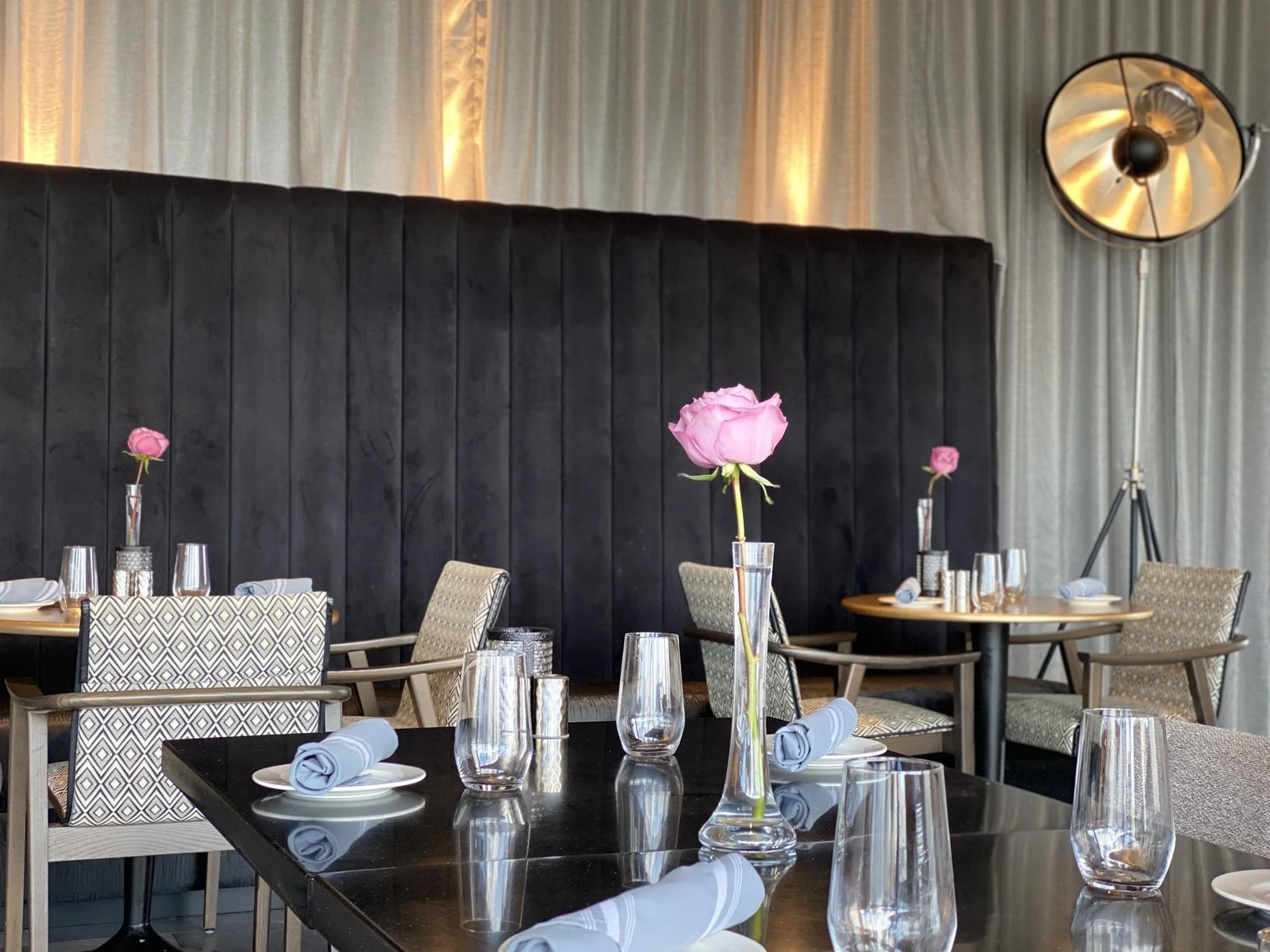 The Rose Hotel Chicago O’Hare, thorn restaurant & lounge