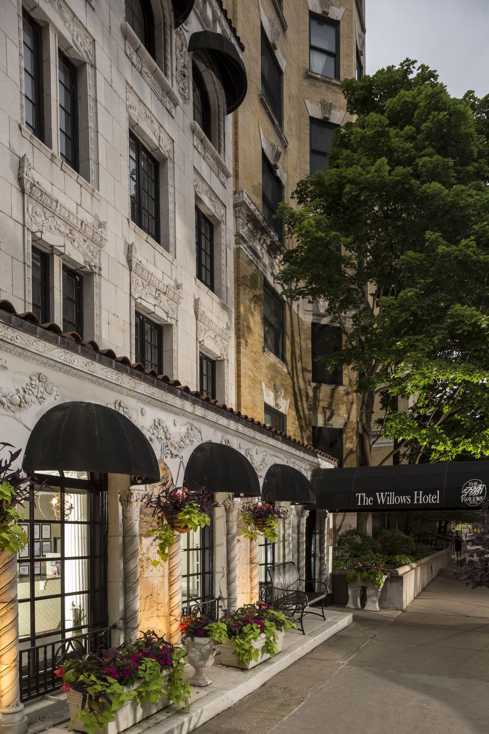 The Willows Hotel — backstory