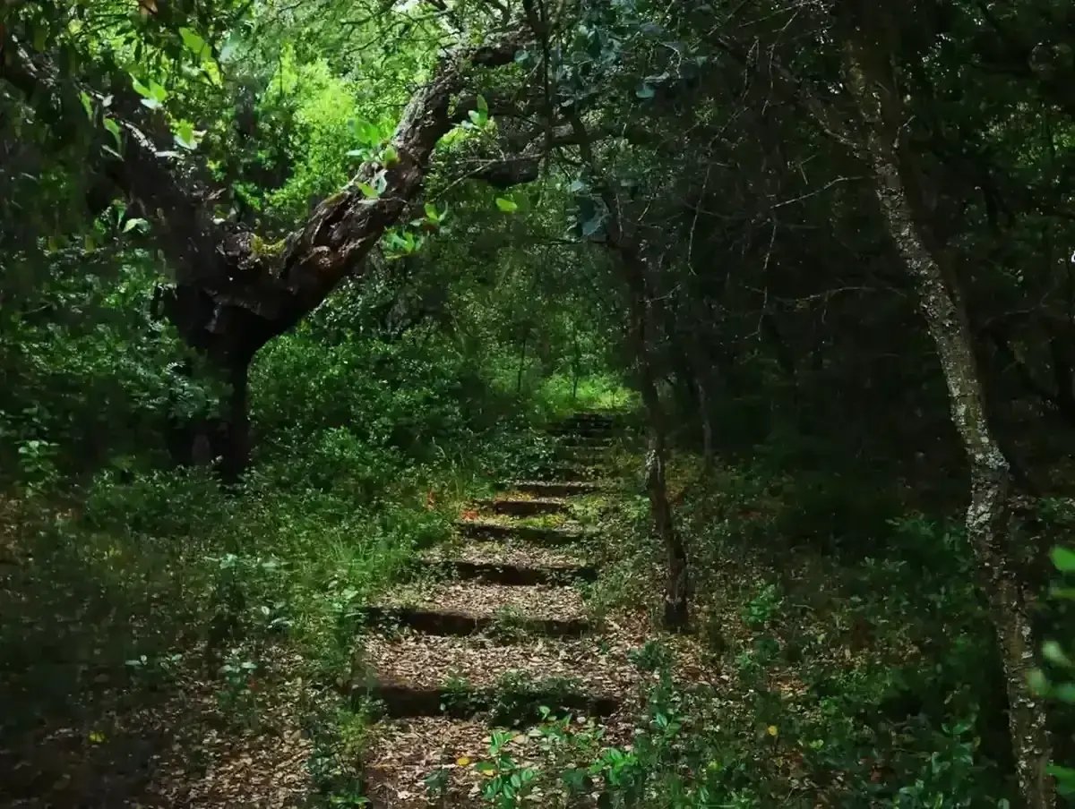 Quinta da Arrábida — vibe