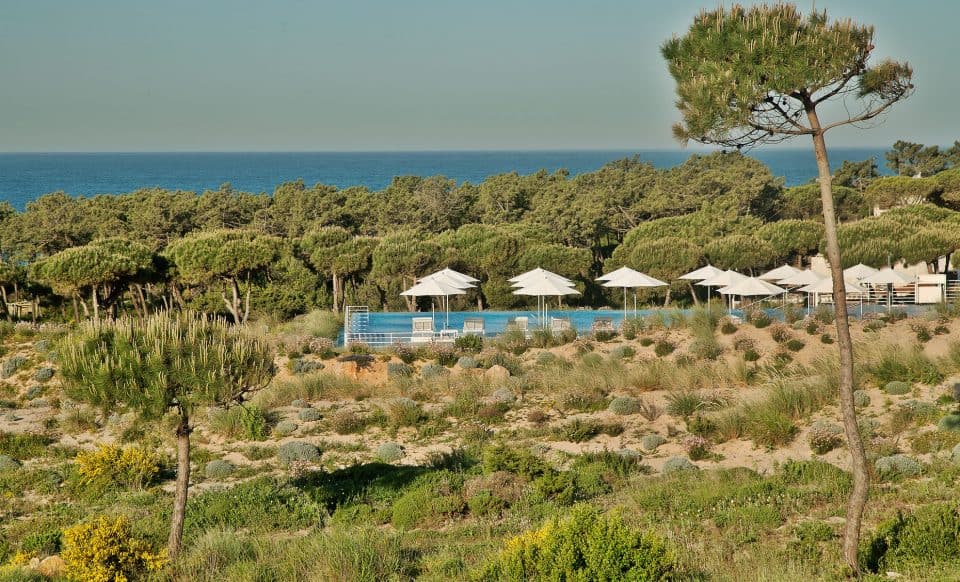 The Oitavos — wellness