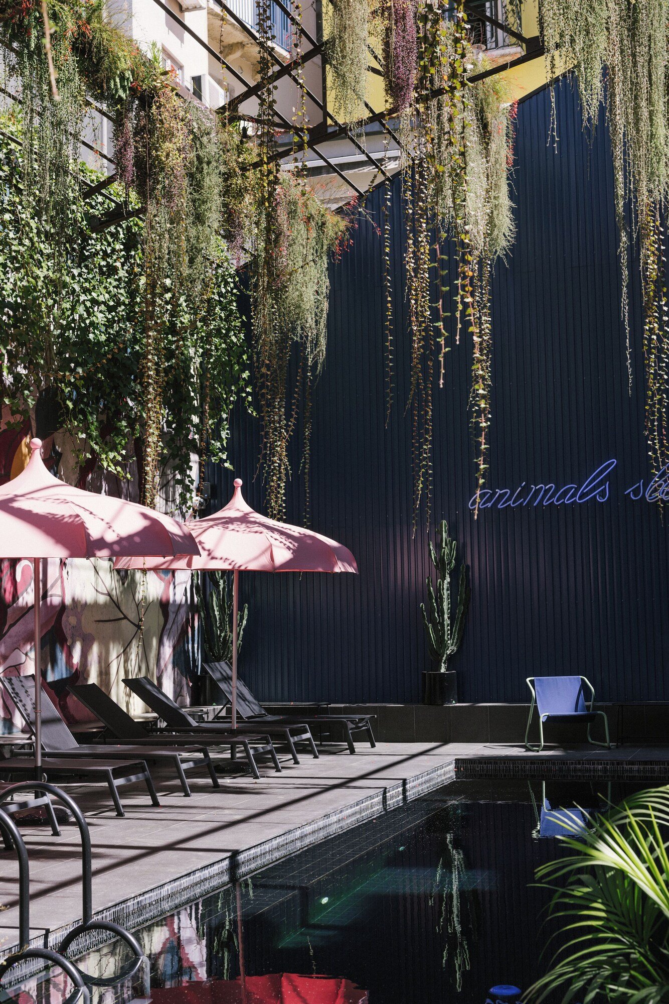 Hotel Hotel, the pool