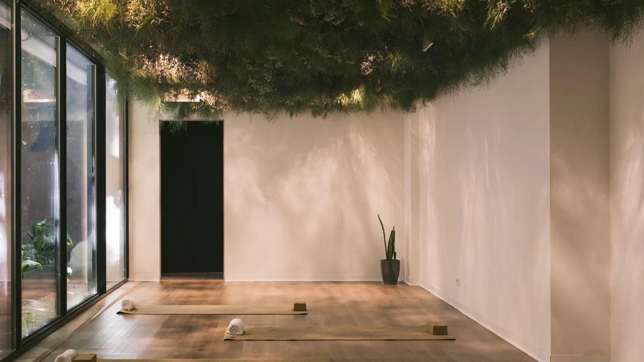 Hotel Hotel, the yoga studio