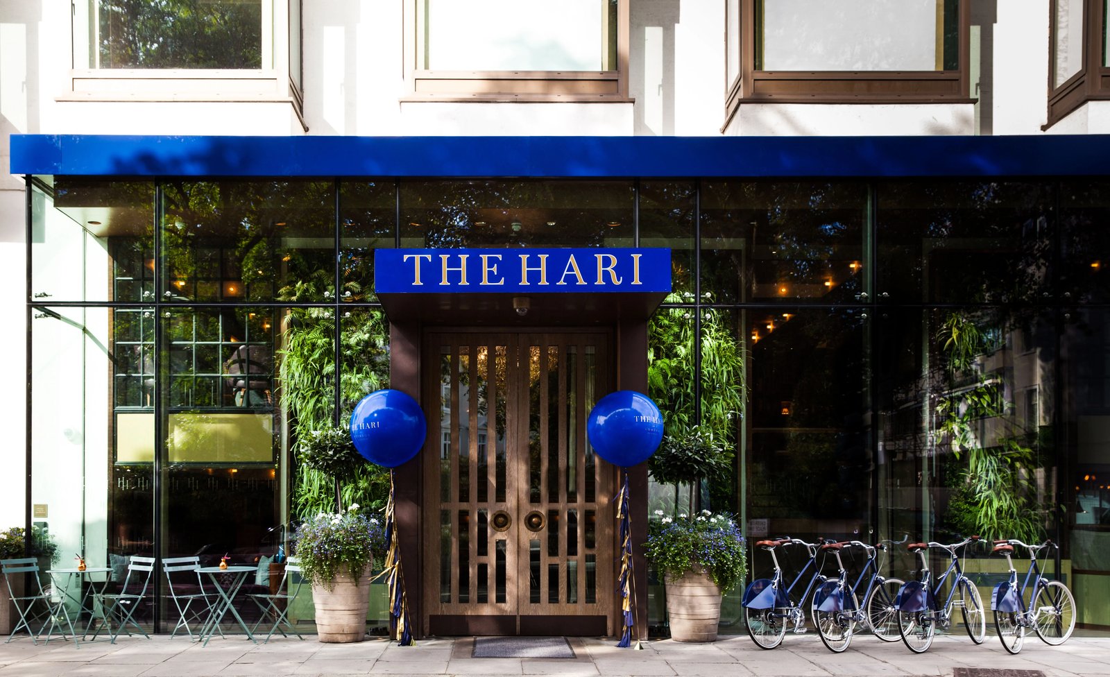 The Hari, how it began