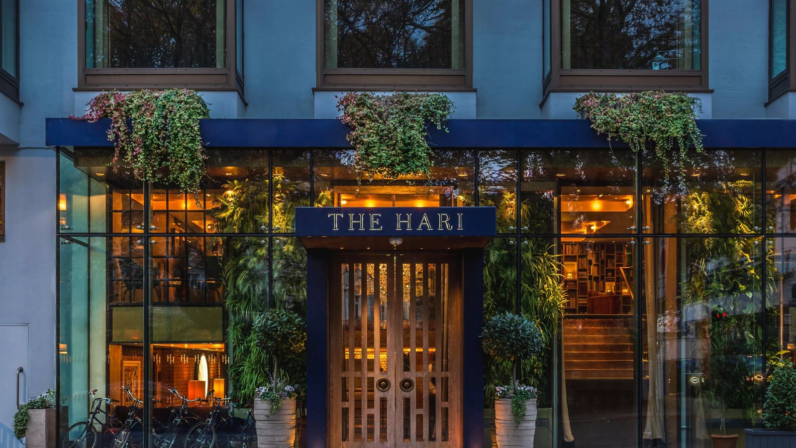 The Hari — backstory