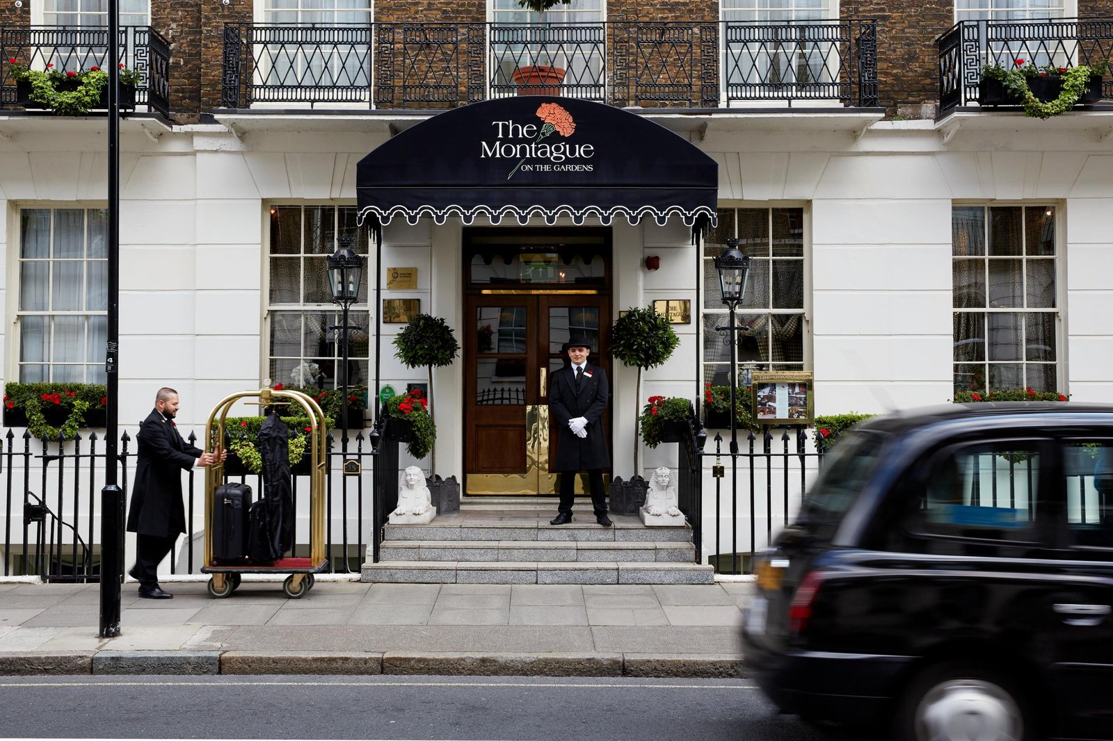 The Montague on the Gardens — backstory