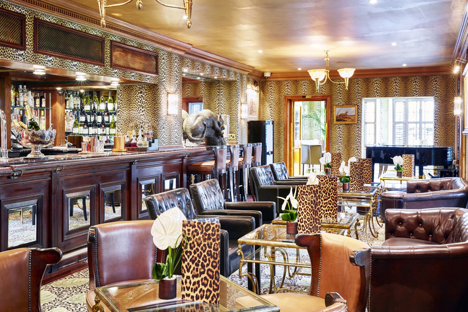 The Montague on the Gardens, the leopard bar
