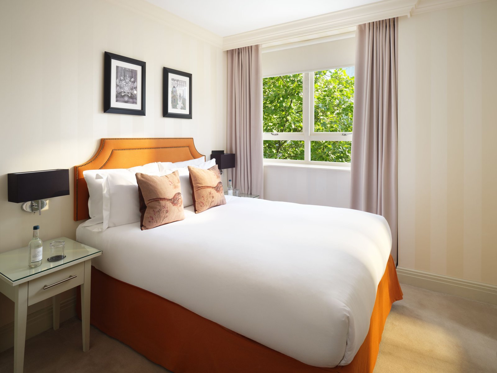 Hotel Xenia, Autograph Collection — rooms